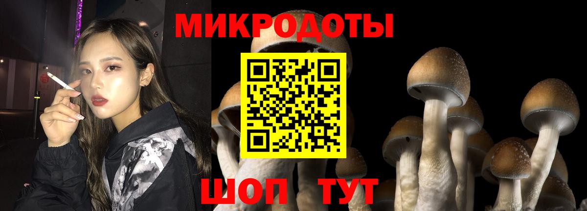 Псилоцибиновые грибы мухоморы Протвино